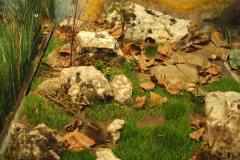 DSCF0444