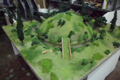 SAM_0005