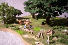 Museo Tenuta Presidenziale Castelporziano