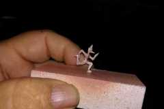 IMG-20200229-WA0000