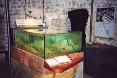 Acquario