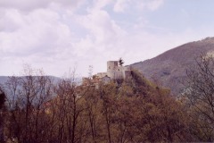 foto-lavoro-114