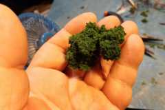 IMG-20201216-WA0000